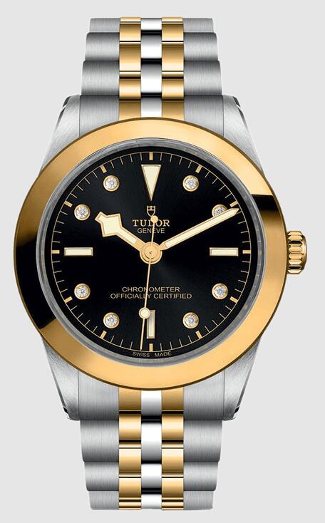 Tudor Black Bay 39 S&G 79663-0006 Replica Watch